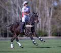 Polo Event Image 5