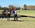 Polo Updates img6